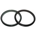 PTFE Scraper Seals with Professional Design (GSZ)